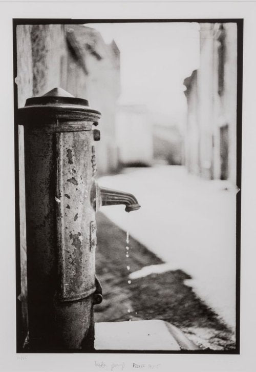 Stanley Milstein 'Water Pump'