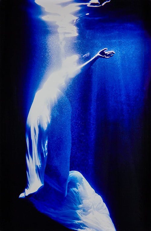 Michael Muller 'Rapture'