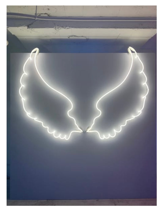 Beau Dunn 'I Borrowed These Wings from an Angel'